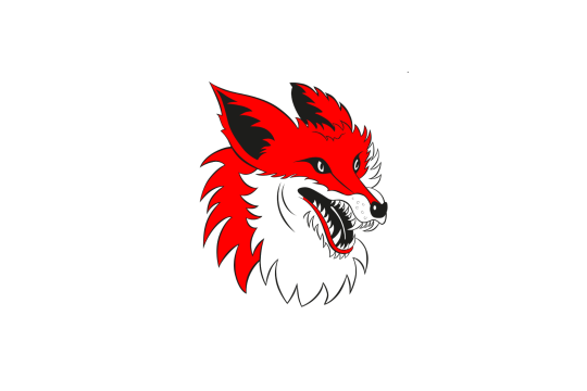 Fuechs1